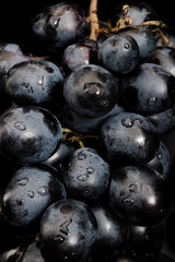 black grapes on a black background with drops on berries