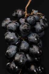 black grapes on a black background with drops on berries
