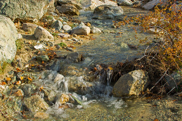 Fototapeta na wymiar autumn background. a flowing stream.spring water. clean environment.