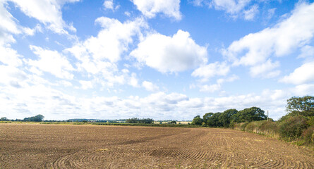 Obraz premium British Landscape View