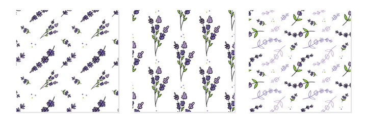 Set, collection of three doodle style lavender flowering plants, branches vector seamless pattern background for nature and aromatherapy design. - 471241873