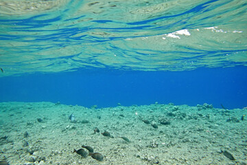 Underwater background