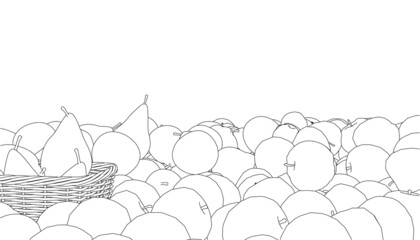 Contour of a heap of apples and pears, and a basket of black lines isolated on a white background. Vector illustration
