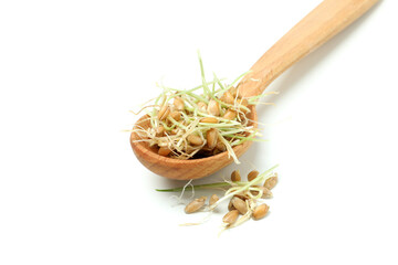 Spoon with sprouted wheat isolated on white background