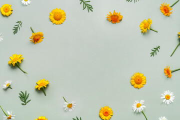 Obraz premium Frame of wildflowers chamomile flowers on green background. Copy space for your text