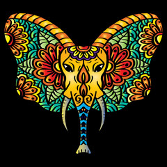 Had Drawn Elephant Head Zentangle