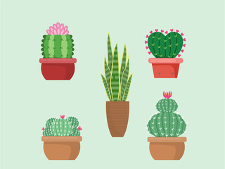 Green Cactus; bright cacti flowers isolated on white background.design vector illustrator
