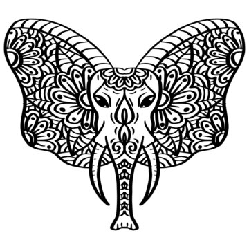 Had Drawn Elephant Head Zentangle