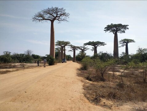 beautiful landscape of madagascar one of the beautiful islands in the world