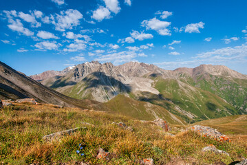 Fototapeta premium landscape in the mountains
