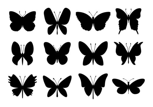 Silhouettes of butterfly. Stencil of moth wings or insects. Engraving of tropical animals. Isolated  icons set