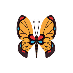 Exotic color butterfly. Hand drawn moth wings or insect. Cartoon tropical animal. Isolated  icon