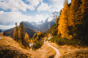 Perfect view of autumn forest in mountain valley. National Park Tre Cime di Lavaredo, Dolomite alps, South Tyrol, Italy, Europe.