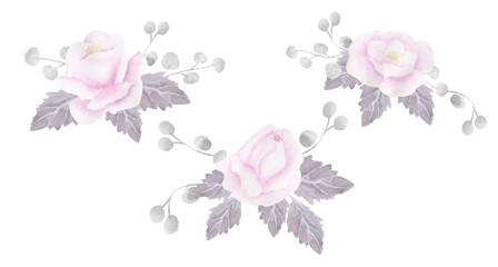 Delicate pink roses. watercolor illustration for invitations, congratulations, design.