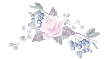 Delicate pink roses and fruits. watercolor illustration for invitations, congratulations, design.