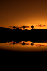 Fototapeta na wymiar Warm Sunset, Silhouette, City Landscape, Palm Trees