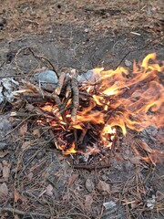 fire in the garden
