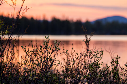 Midnight Sun In Swedish Lapland