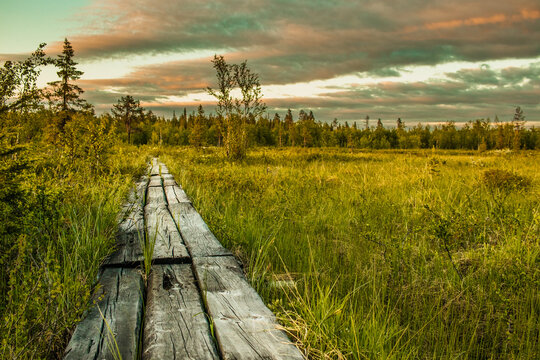 Midnight Sun In Swedish Lapland