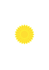 Sunflower vector icon	