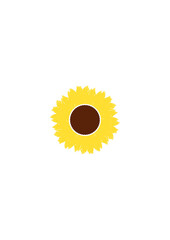 Sunflower vector icon