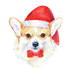 watercolor dog wearing santa claus hat, christmas corgi. Postcard for the new year and christmas.