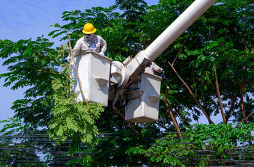 Two electricians in bucket crane truck cutting high tree branches for safety of electrical transmission system against blue sky background