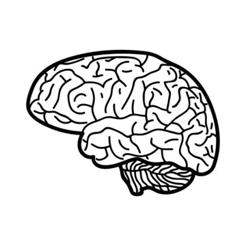 Brain illustration isolated on white background. Brain icon.Illustration in ink hand drawn style.