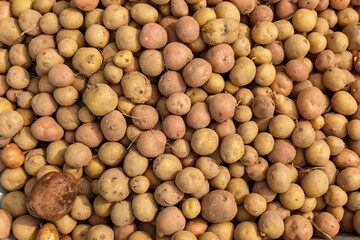 fresh raw potatoes. Background and texture. Close-up