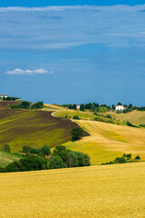 Rural landscape near Ostra Vetere and Cingoli, Marche, Italy