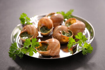 escargot cooked with butter and parsley- french festive gastronomy