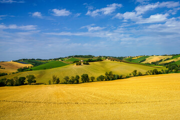 Rural landscape near Ostra Vetere and Cingoli, Marche, Italy