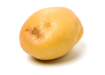 potato on a white background