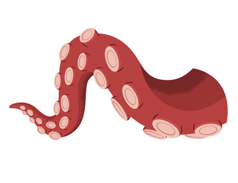 Octopus tentacle on white background. Sea squid  cartoon icon. Spooky marine monster arm. Underwater animal