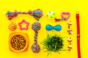 Pet accessories with dog and cat food and toys, top view