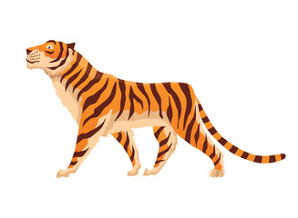 Adult big tiger. Cute animal from wildlife. Big cat. Predatory mammal. Painted cartoon animal design. Flat  illustration isolated on white background
