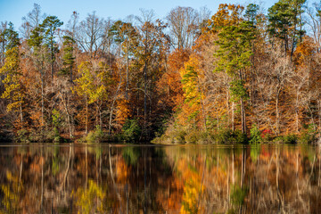 autumn forest and lake in the fall with reflections