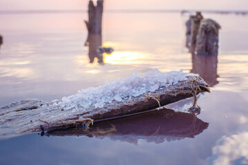 Sunset on the Pink Lake in Ukraine. Crystals of salt close-up. The water looks pink because of the special algae that grows with a high salt content.