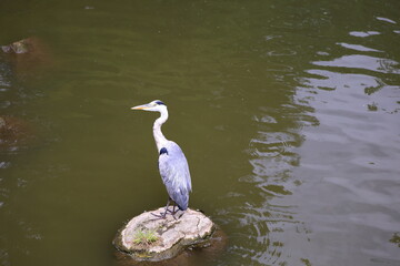 大宰府　福岡　日本