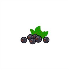 Blueberry. Long shadow flat design vector icon.