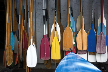 Paddles hanging on a wall - Powered by Adobe