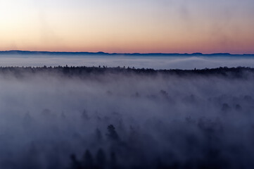 Waldlandschaft im Nebel bei Sonnenaufgang