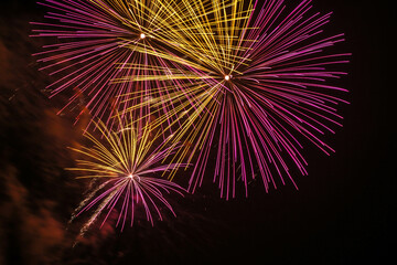 Fototapeta premium fireworks in the night sky