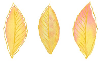 Watercolor illustrations of autumn leaves with a red - yellow gradient on a white background - isolated elements