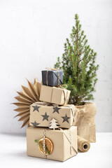 Zero waste eco Christmas and New Year concept
