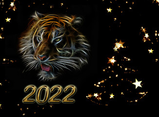 New Year’s card abstract background with a tiger, firework on a background black sky,holidays
