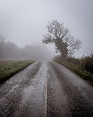 road through the fog by the lone tree