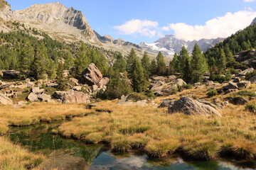 Alpenidylle in den Bernina-Alpen; Hochebene von Preda Rossa mit Pizzo Basset und Monte Disgrazia