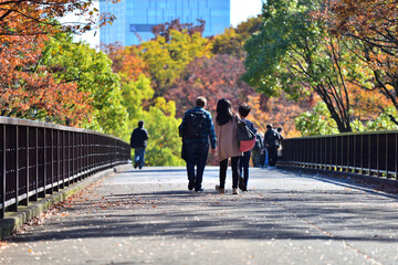紅葉に染まる代々木の歩道橋を渡るファミリー