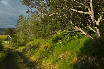 Landscape at Dalshöfdi on the south of Iceland, Europe
